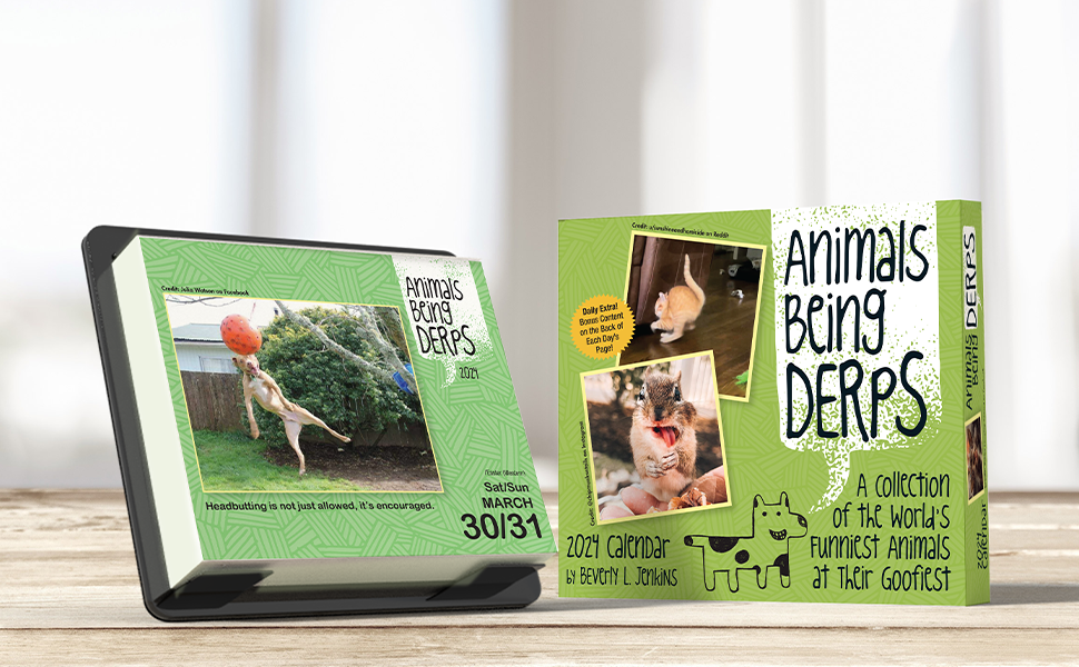 Animals Being Derps 2024 calendar by Beverly L Jenkins